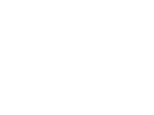 2009第四屆伊朗中國工業(yè)展-河北偉業(yè)波紋管